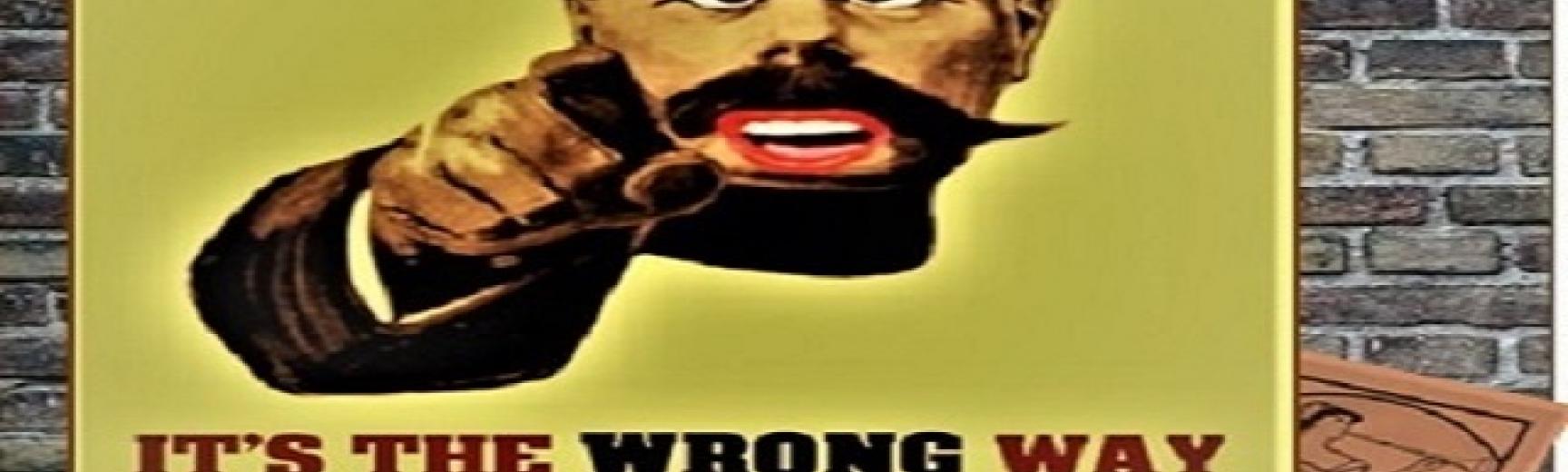 It's the Wrong Way to Tickle Mary Women in the Humanities